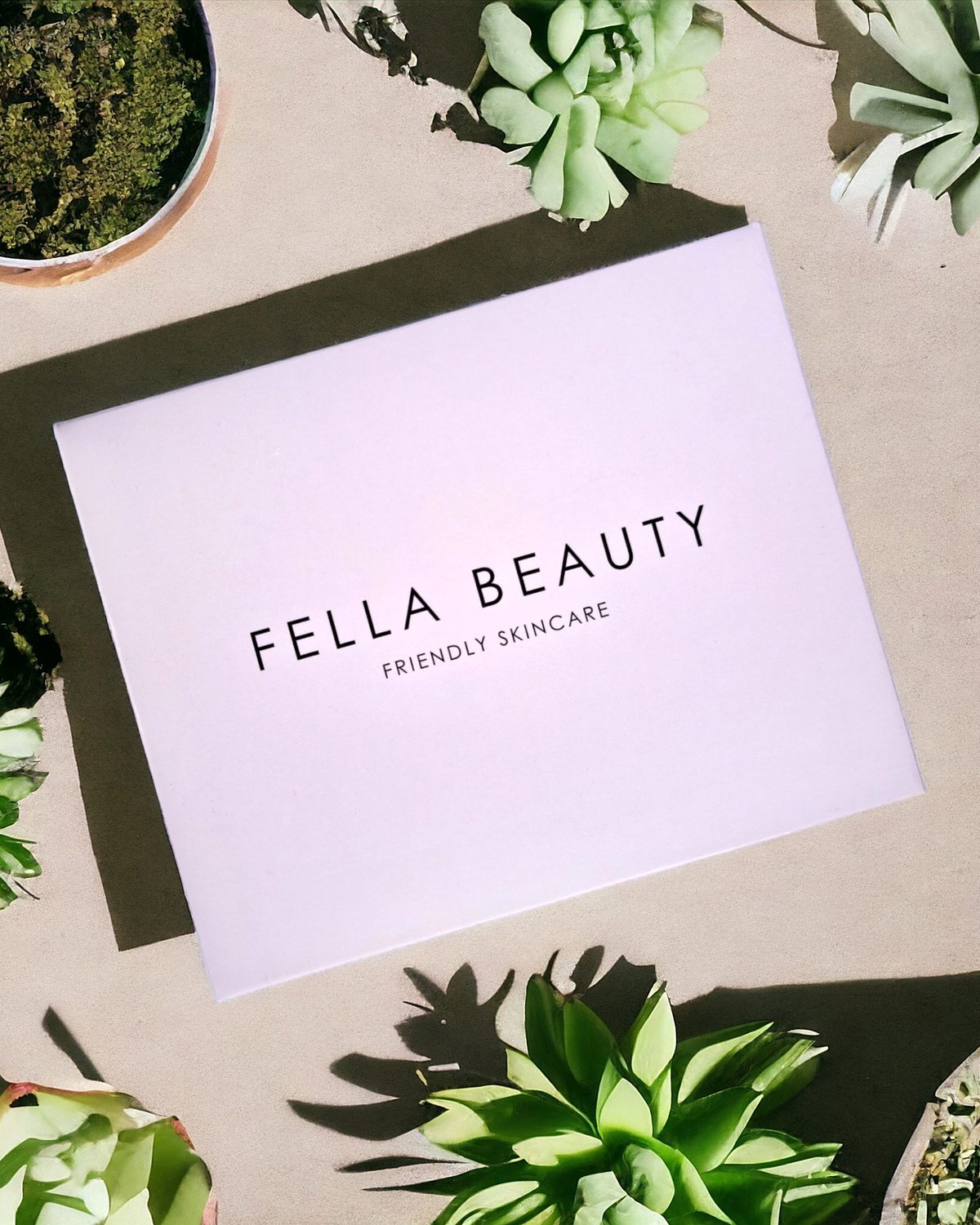 The Fella Beauty bundle box among succulents